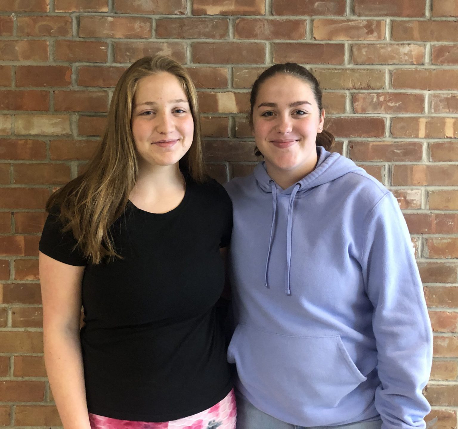 Sisters Alicia and Brianna Hillmann win first place in Constitution ...